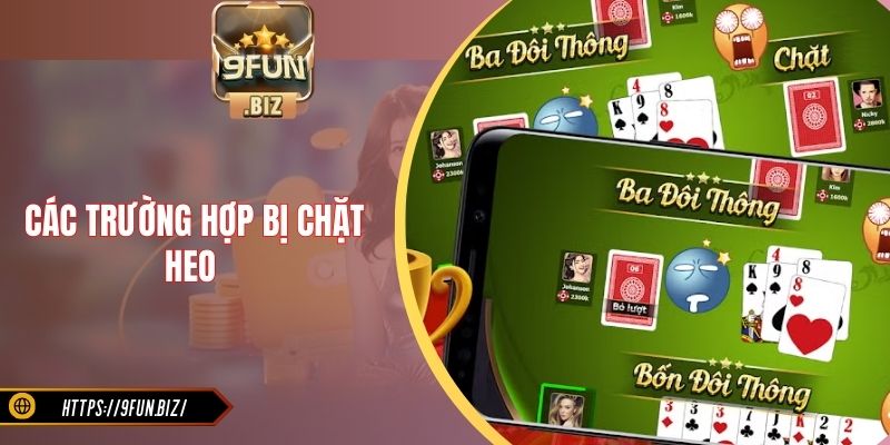 Các trường hợp bị chặt heo
