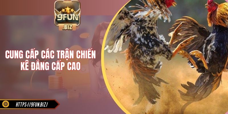 Cung cấp các trận chiến kê đẳng cấp cao