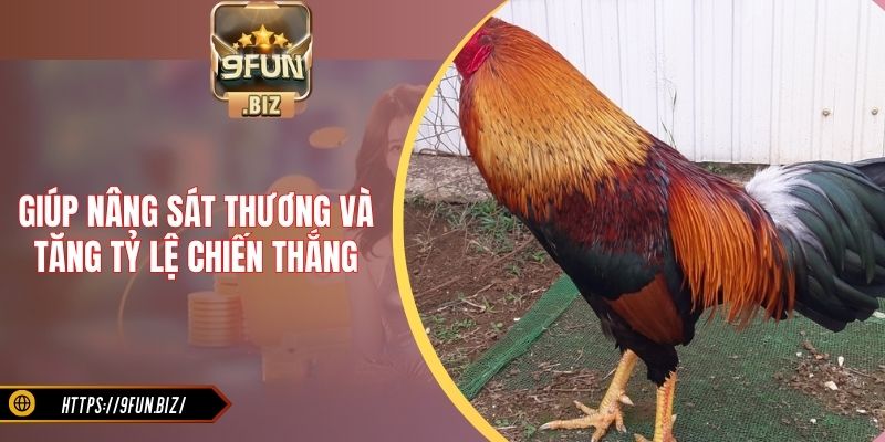 Giúp nâng sát thương và tăng tỷ lệ chiến thắng