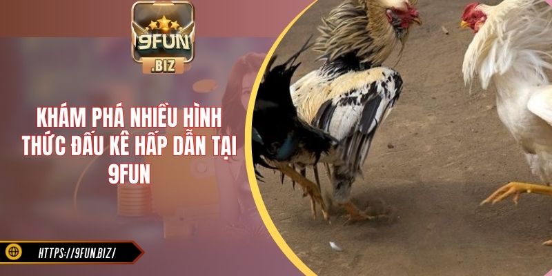 Khám phá nhiều hình thức đấu kê hấp dẫn tại 9Fun