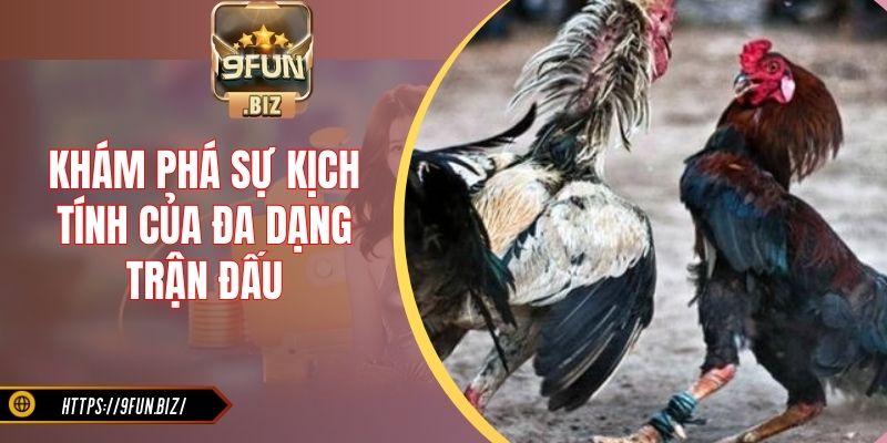 Khám phá sự kịch tính của đa dạng trận đấu