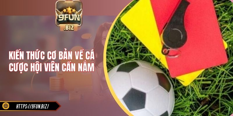 Kiến thức cơ bản về cá cược hội viên cần nắm