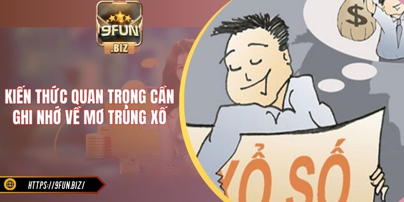 Kiến thức quan trọng cần ghi nhớ về mơ trúng xố