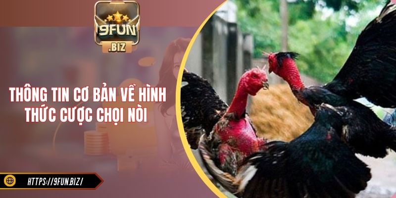 Thông tin cơ bản về hình thức cược chọi nòi