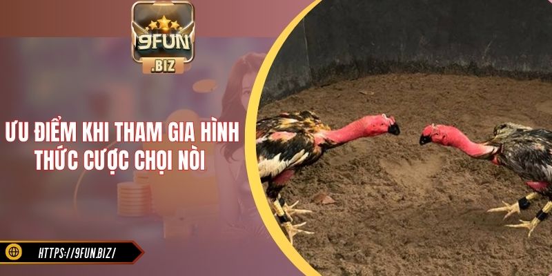 Ưu điểm khi tham gia hình thức cược chọi nòi