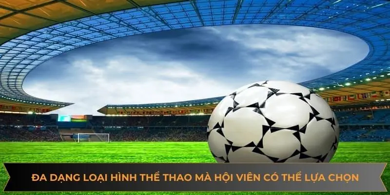 Bán kèo thể thao VUA88 – Tính năng vàng giúp quản lý rủi ro